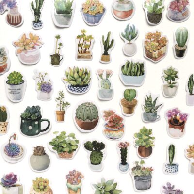 Stickers « Plantes grasses et cactus »