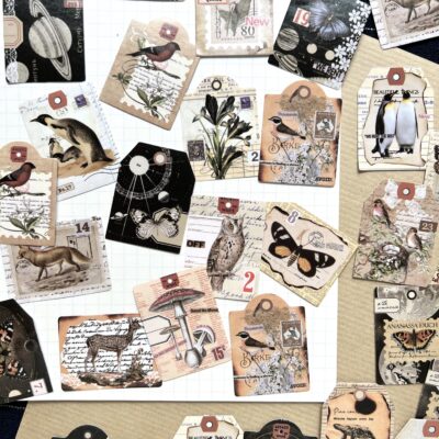 Stickers « Faune et flore rétro »