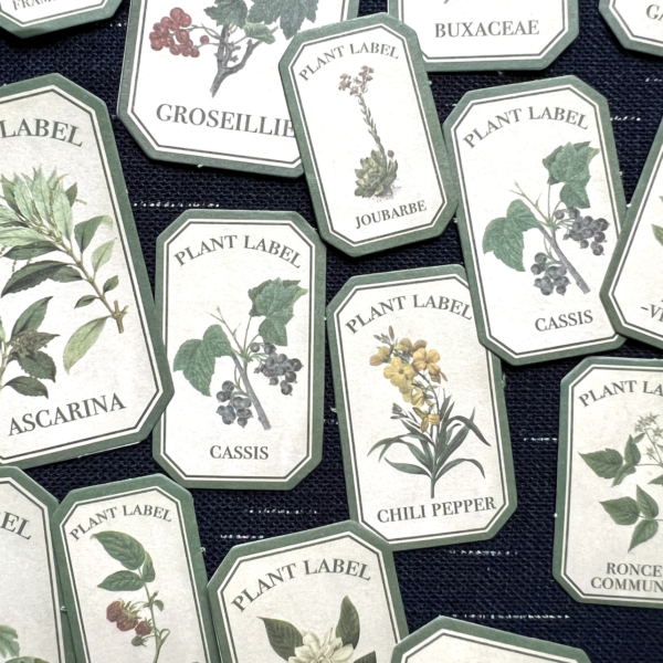 Stickers botanique plantes