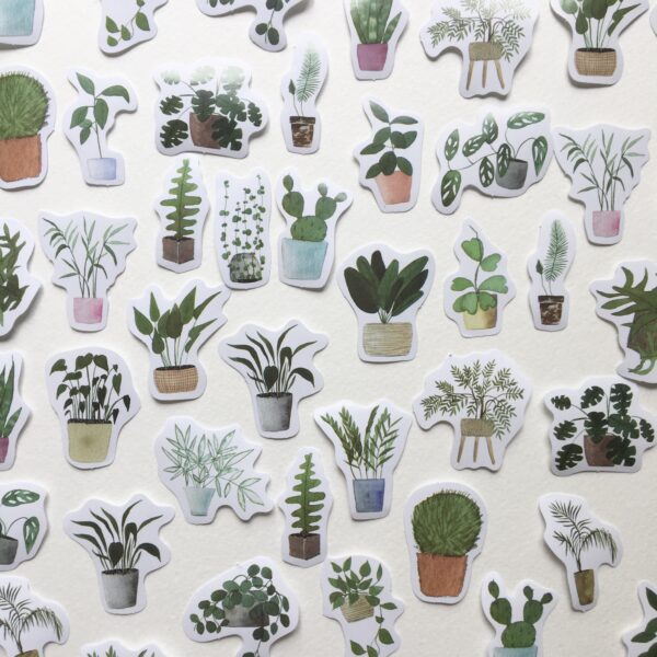 Stickers plantes vertes en pot