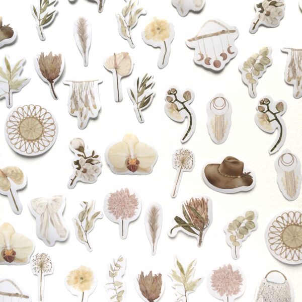 Stickers cosy attrape-rêves eucalyptus plantes