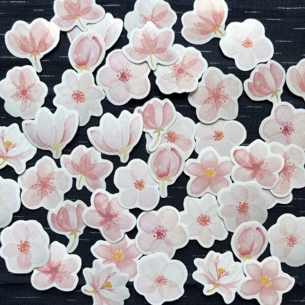 Stickers sakura fleurs de cerisier
