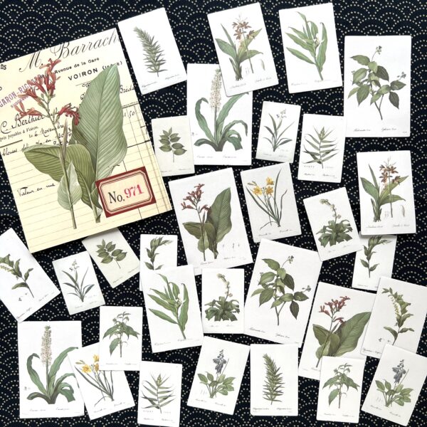Stickers plantes botanique