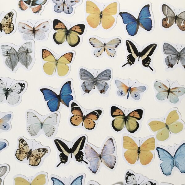 Stickers autocollants papillons.