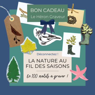 Bon cadeau « La nature au fil des saisons en 100 motifs à graver »