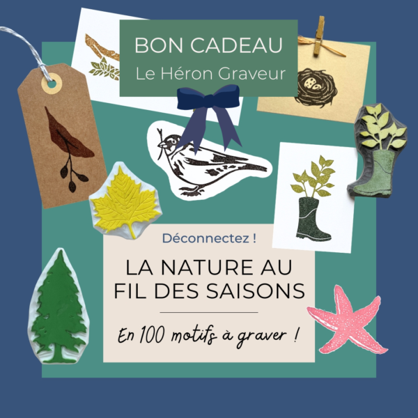 Bon cadeau La nature au fil des saisons en 100 motifs à graver pour graver des tampons