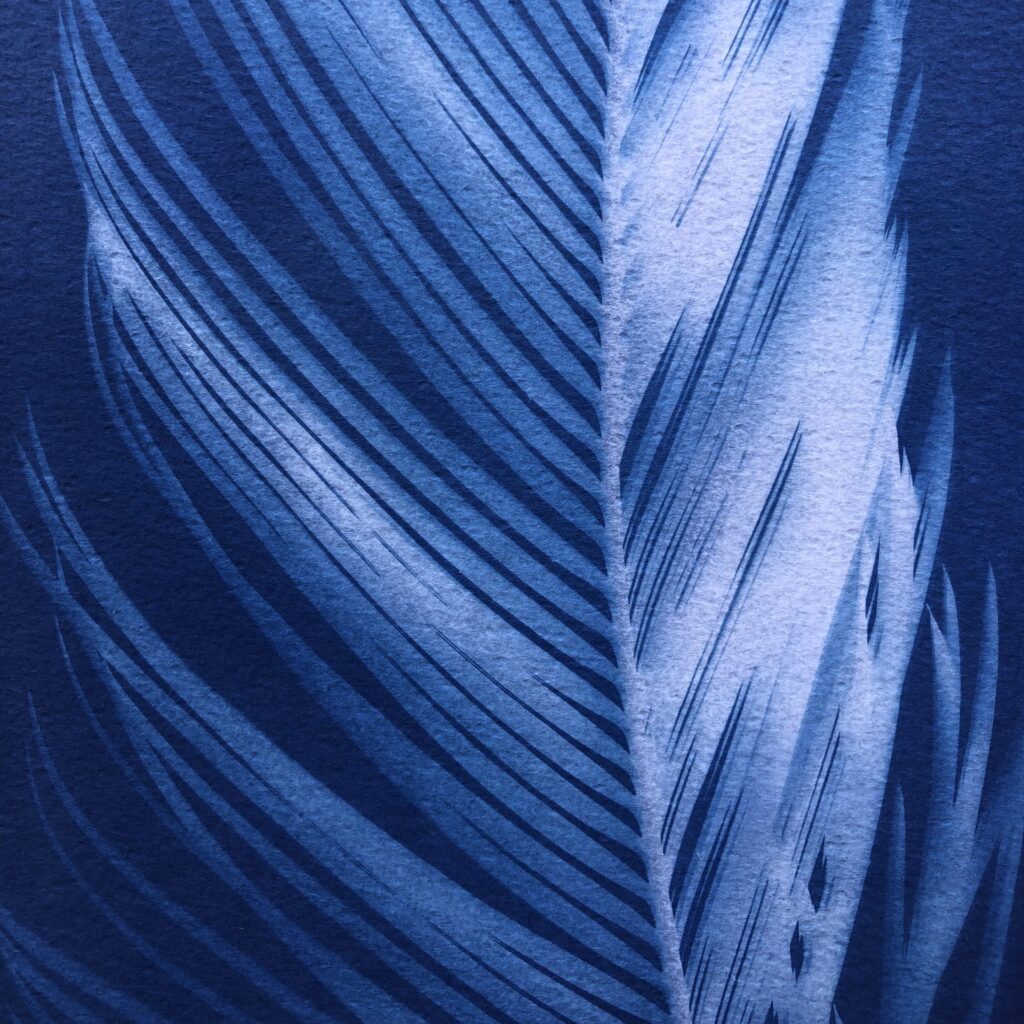 Cyanotype palme