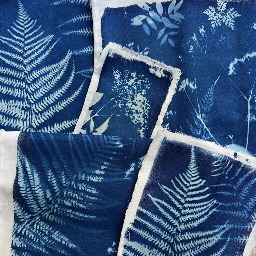 Cyanotypes réalisés sur tissu (coton blanc)