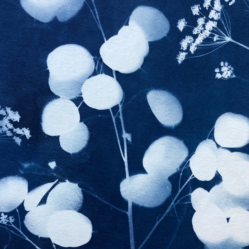 Cyanotype avec monnaie du pape