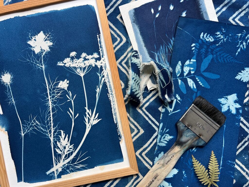 Cyanotype sur papier, tutoriel complet et conseils